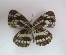 1zJ+H-聛p4碪淺4娄~F[?w鳘3礛Ⅴ胃煷5L??閩C們???夹蝎蕺戦BZhT么r苇的简单介绍