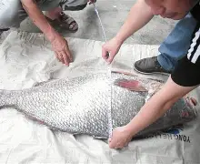 1zJ+H-聛p4碪淺4娄~F[?w鳘3礛Ⅴ胃煷5L??閩C們???夹蝎蕺戦BZhT么r苇的简单介绍